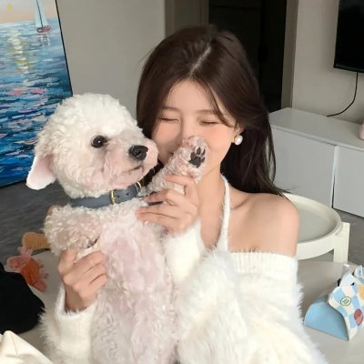 智叻狗仔队